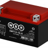 Аккумулятор WBR SMT12-10-A