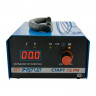 Энергия Старт СТАРТ 15 РИ - Импульсное зарядное устройство для аккумуляторов 6/12 вольт